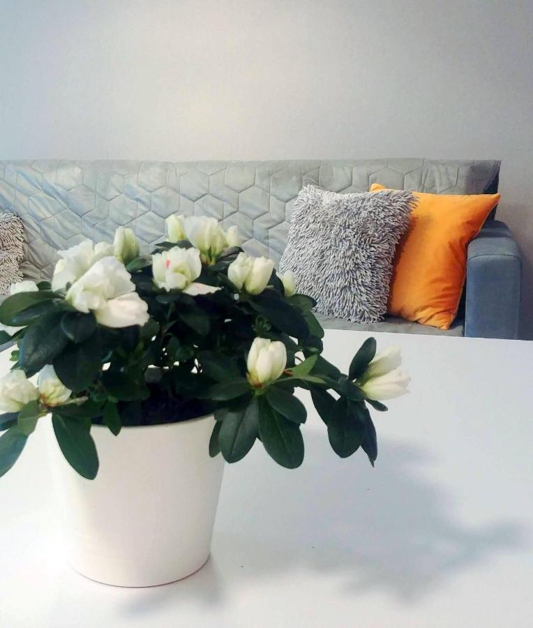 Bel Mare Wyspa, Apartament Z Parkingiem Gratis Miedzyzdroje Dış mekan fotoğraf